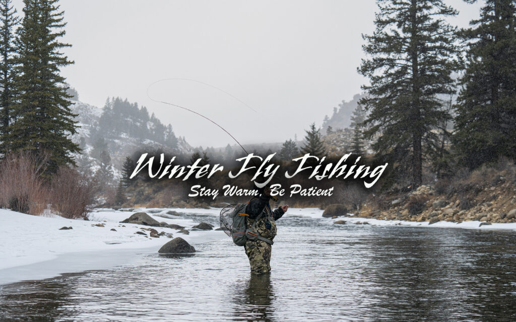 Winter Fly Fishing, Colorado Rockies